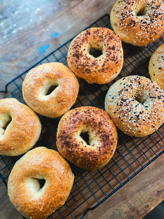 New York Style Bagels
